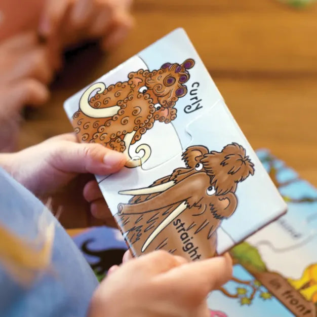 Orchard Toys - Dinosaur Opposites - Person holding a card with illustrations of hair types labeled 'curly' and 'straight'.