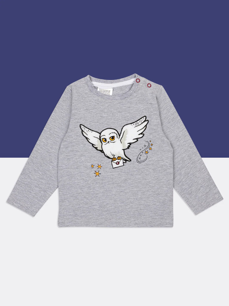 Blade & Rose Harry Potter Hedwig Top. Gray long-sleeve shirt with owl design on a white background