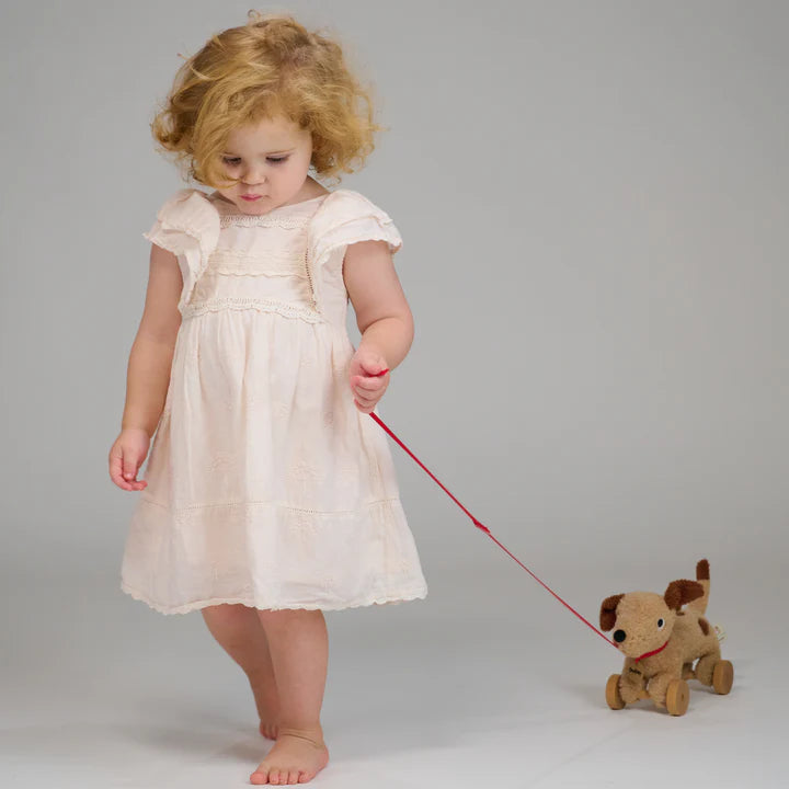 Threadbear Dudley Pull Along Dog - Plush dog toy with wheels in a cardboard box, branded 'ThreadBear'. Child in a white dress holding a red leash attached to a small dog toy on a plain background