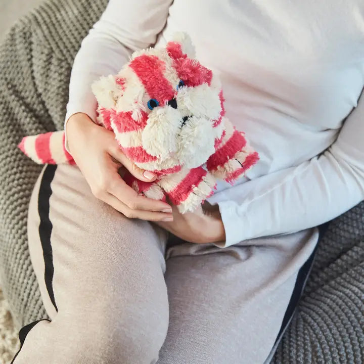 Meet Warmies Bagpuss Cat. Person holding a red and white striped plush toy on a textured surface