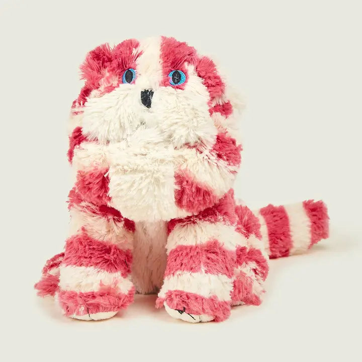 Meet Warmies Bagpuss Cat. Plush toy cat with pink and white stripes on a light background