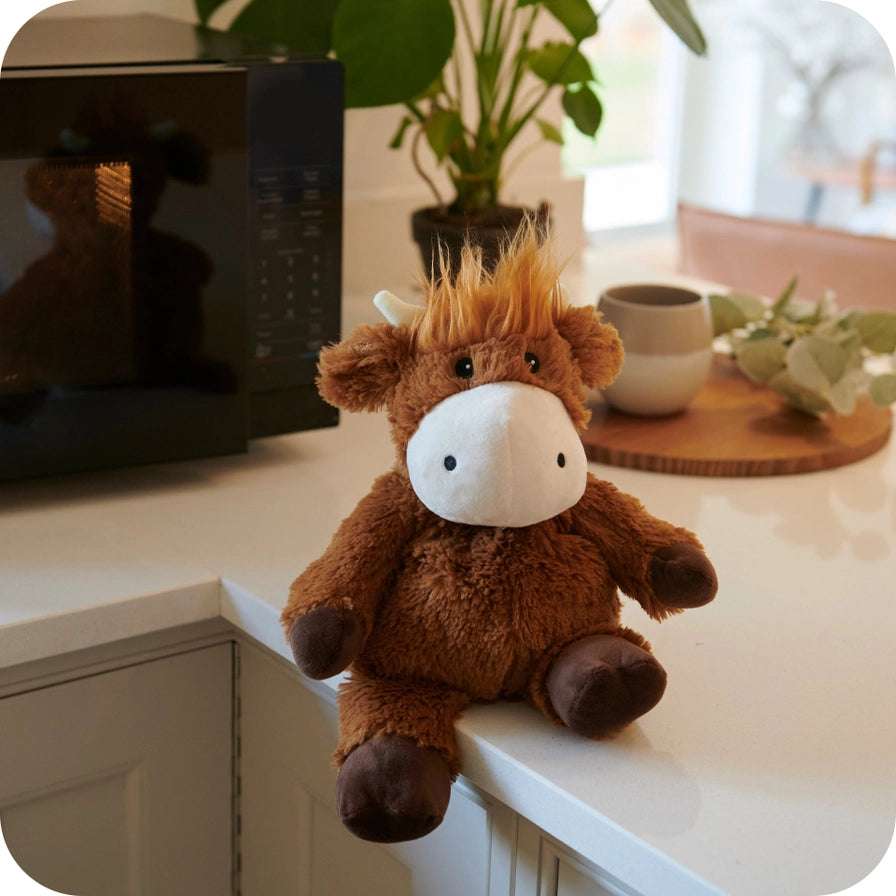 Warmies Highland Cow - Plush cow toy on a kitchen counter with a blurred background