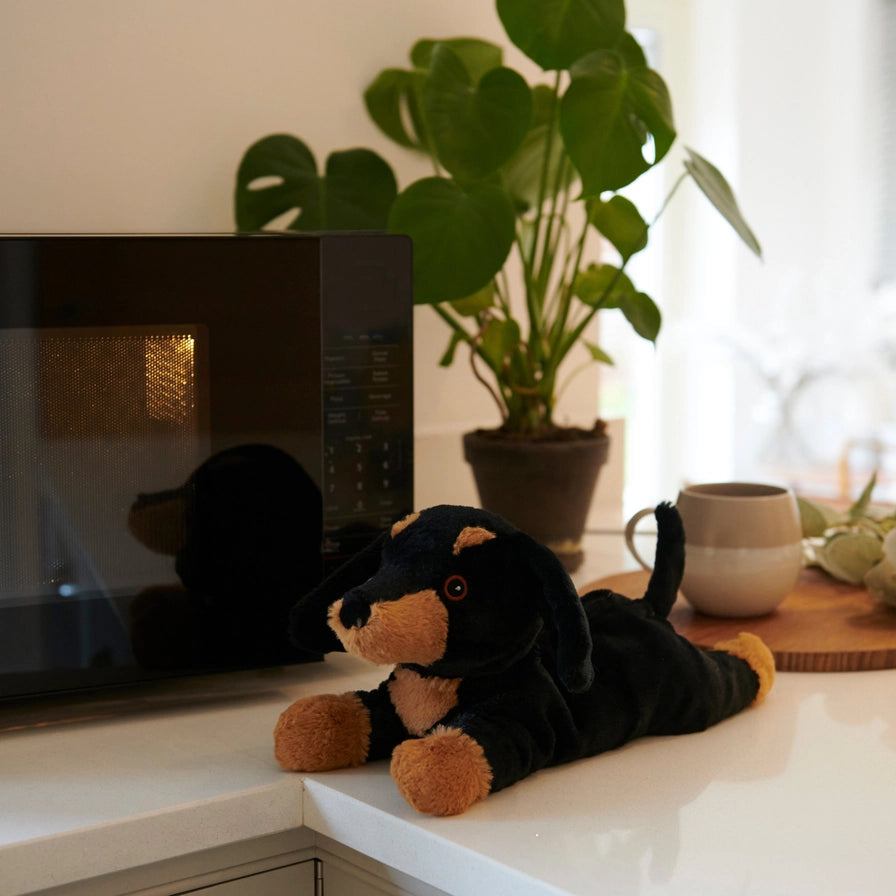 Warmies Junior Dachshund - Plush toy sausage dog with black and brown colors next to a microwave