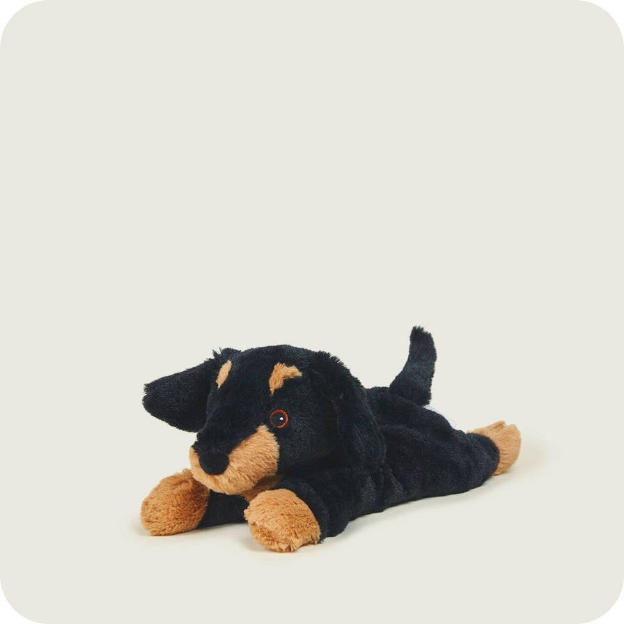Warmies Junior Dachshund - Plush toy sausage dog with black and brown colors on a light gray background