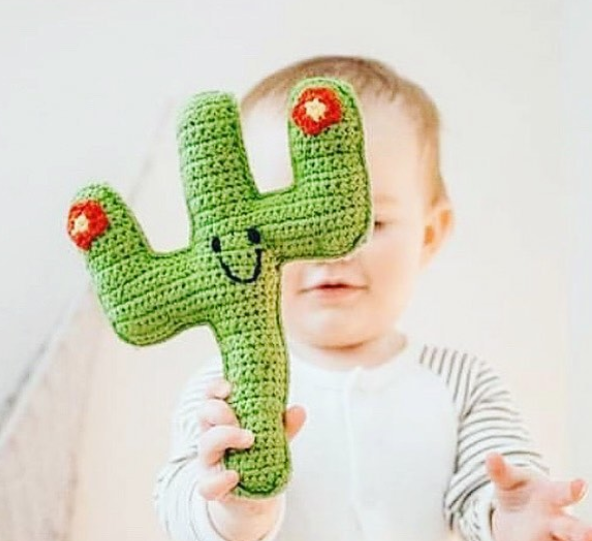 Pebble Child Cactus - Say It Baby 