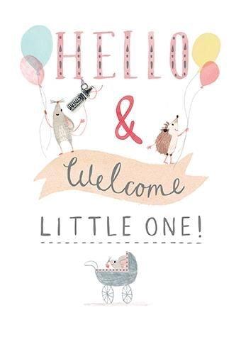 Hello and Welcome Little One Girl Card - Say It Baby 