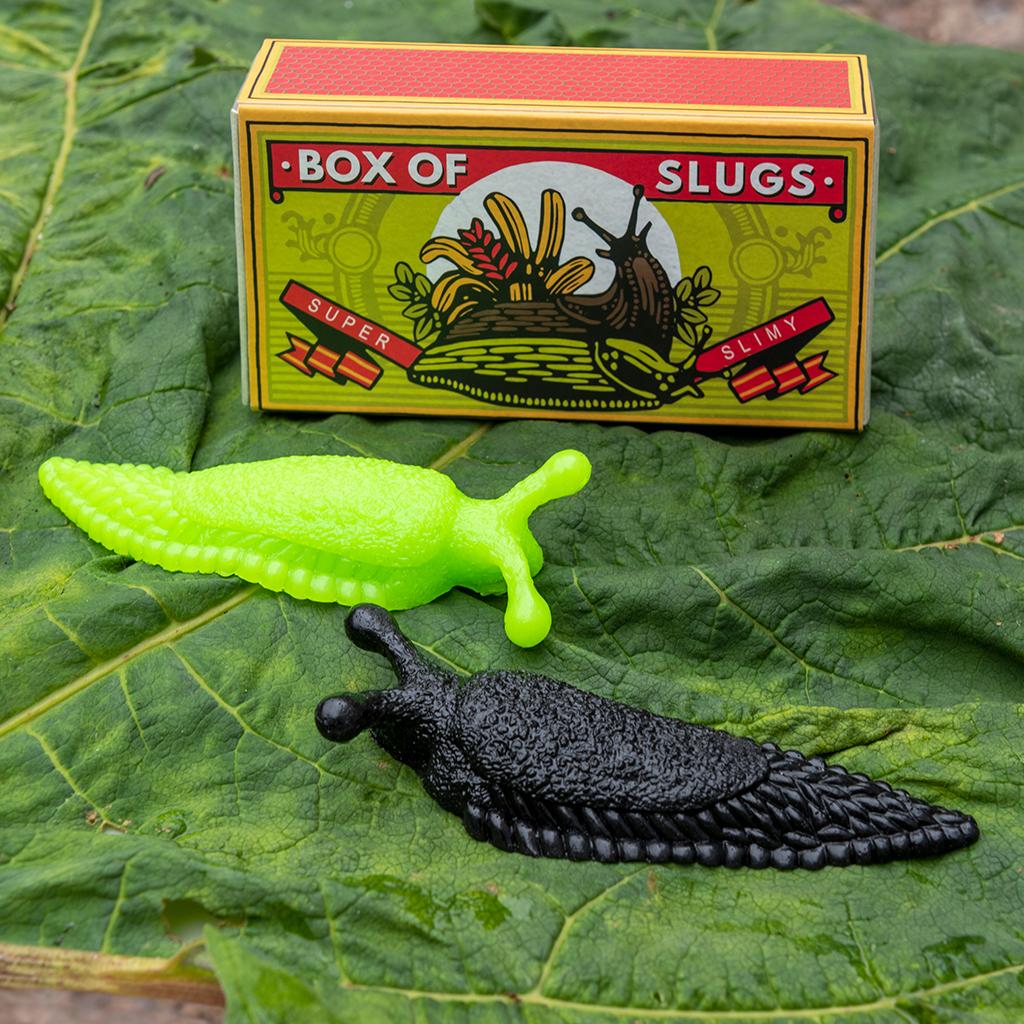 Rex London Box Of Slugs. Say It Baby Gifts